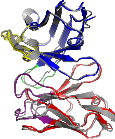 How Did You Land Your First Customer - Antibody (400x480)