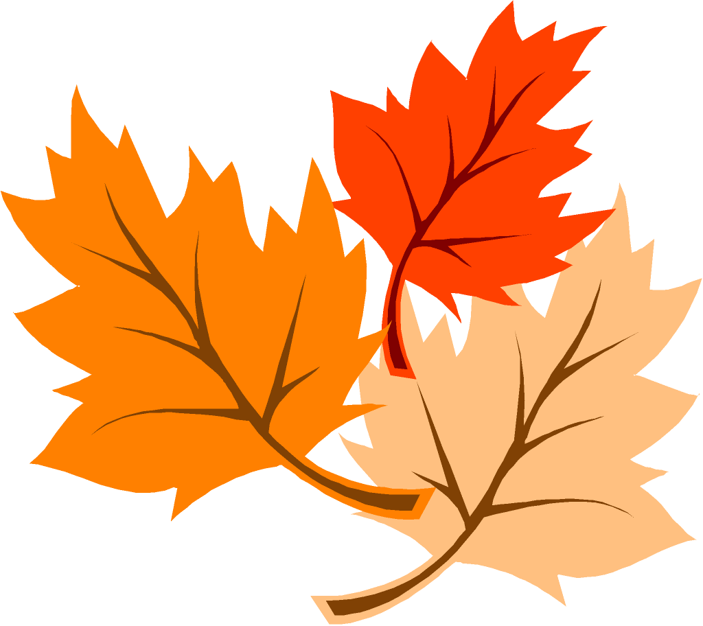 Fall Leaves Clip Art - Fall (1024x912)