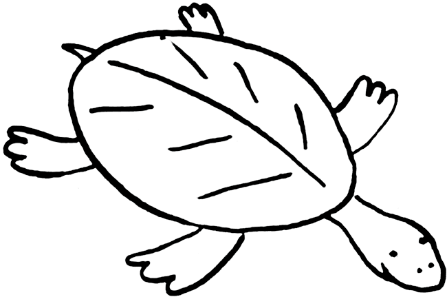 Clip Art Turtle - Long Neck Turtle Clipart (650x431)