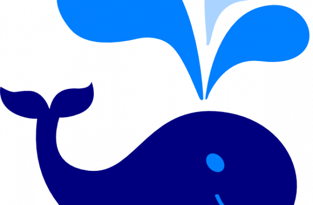 Whale Clip Art - Clip Art (640x420)