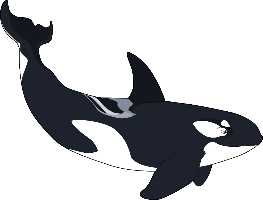 Orca browser. Арт Минимализм Orca. Orca vector. Orca Fish. Orca Clipart