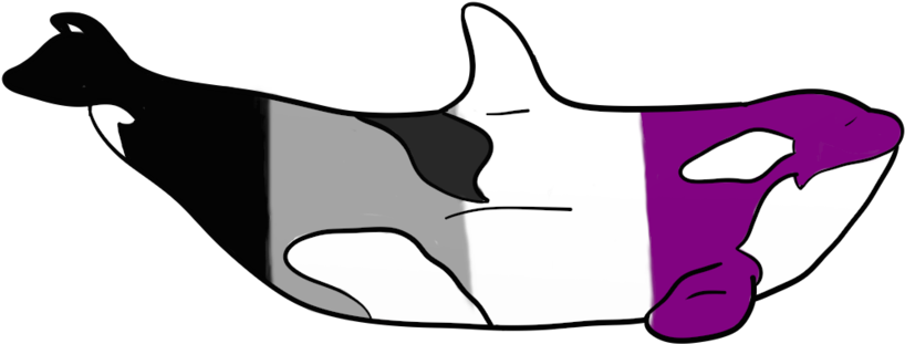 Pride Whales Asexual By Aleksi Ann - Pride Whales Asexual By Aleksi Ann (1024x546)