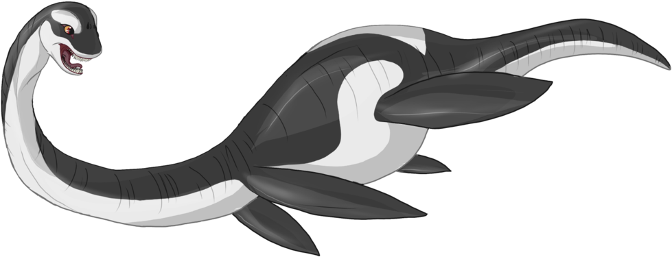 Elasmo Plesio By Bijutsuyoukai - Killer Whale (1024x380)