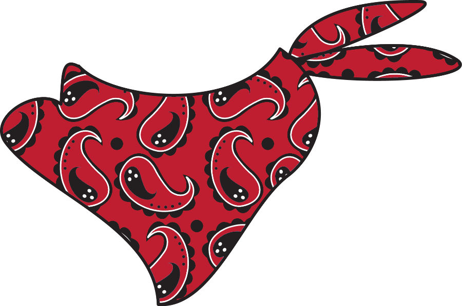 Cowboy E Cowgirl - Cowboy (1600x1061)