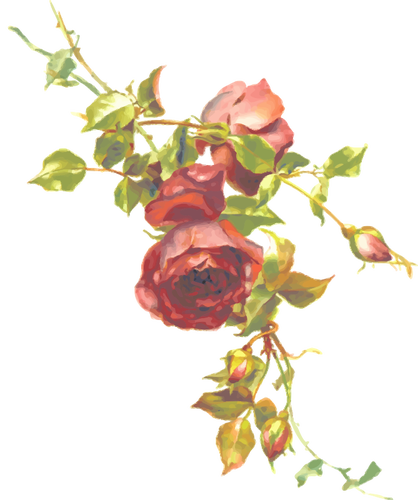 Red Roses On A Branch - Clipart Roses (418x500)
