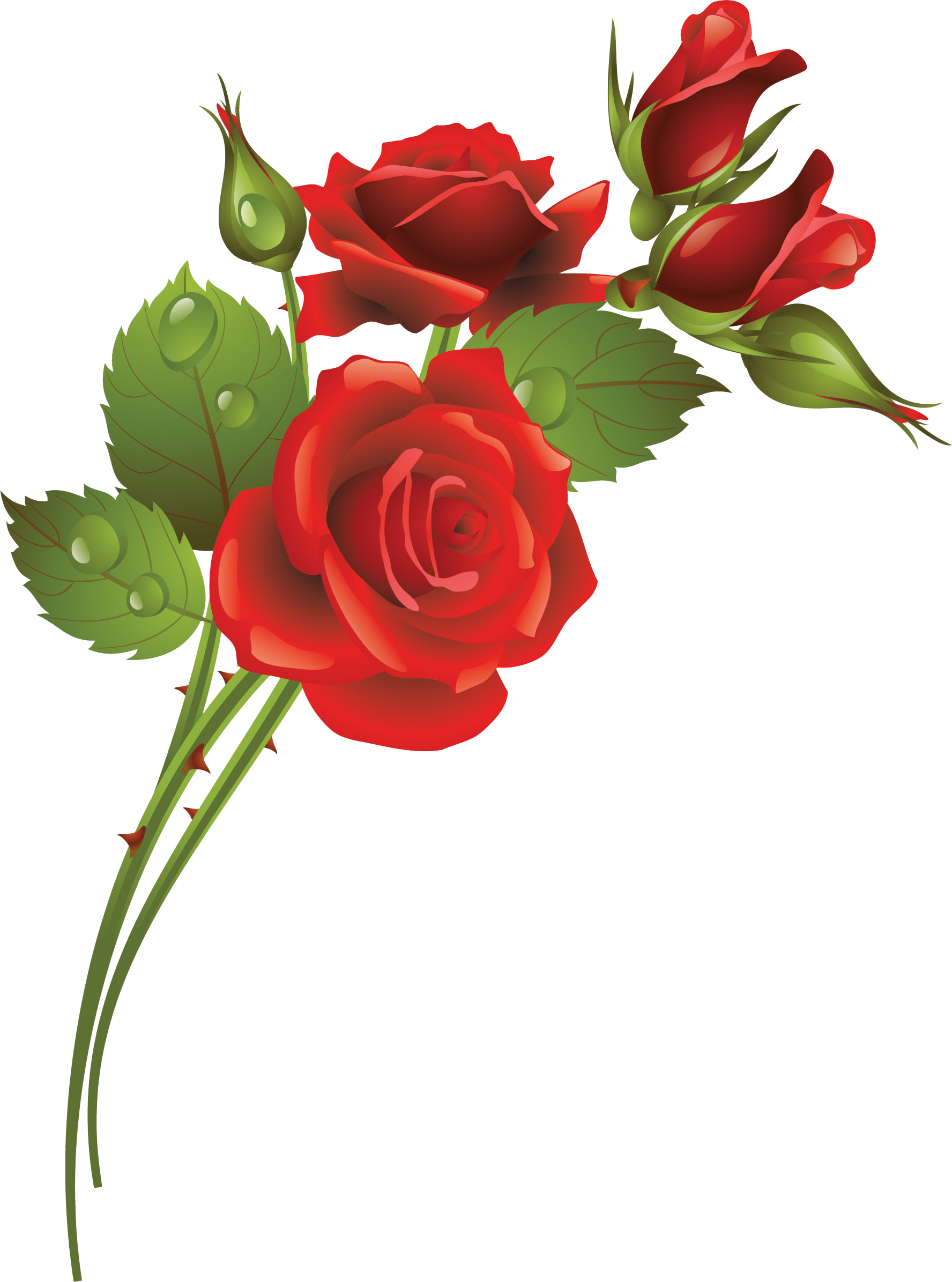 Garden Roses Flower Clip Art - Rose Frame (1776x2391)