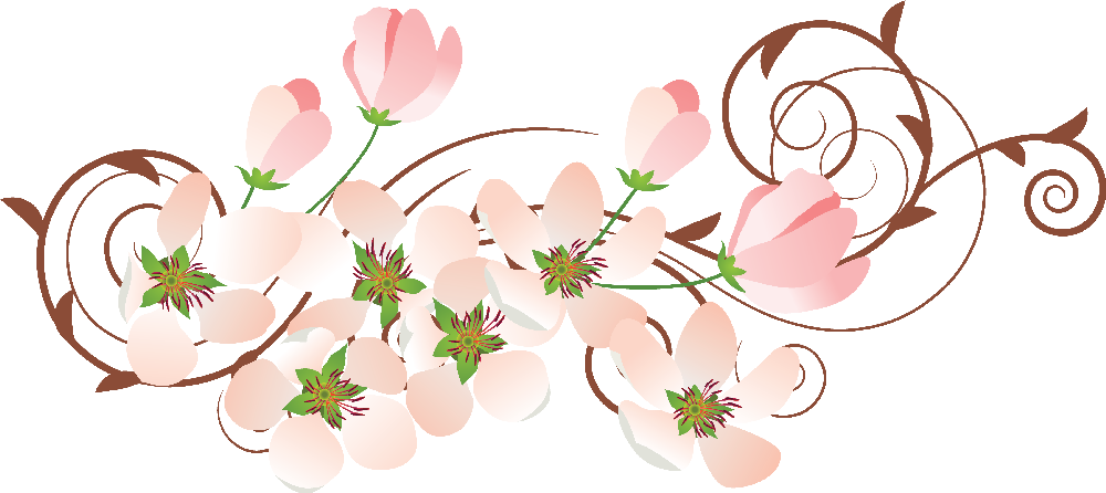 Flores - Peach Flowers Clipart (1000x446)