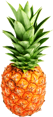 Pineapple Duo Transparent Png - Pineapple Transparent (400x400)