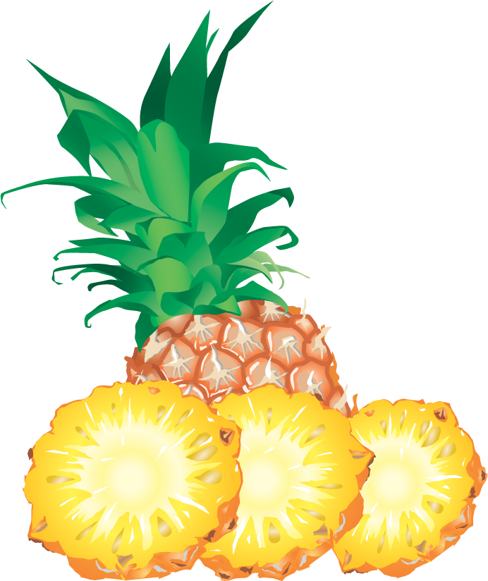 Pineapple Png Image, Free Download - Pineapple Png Clip Art (692x824)