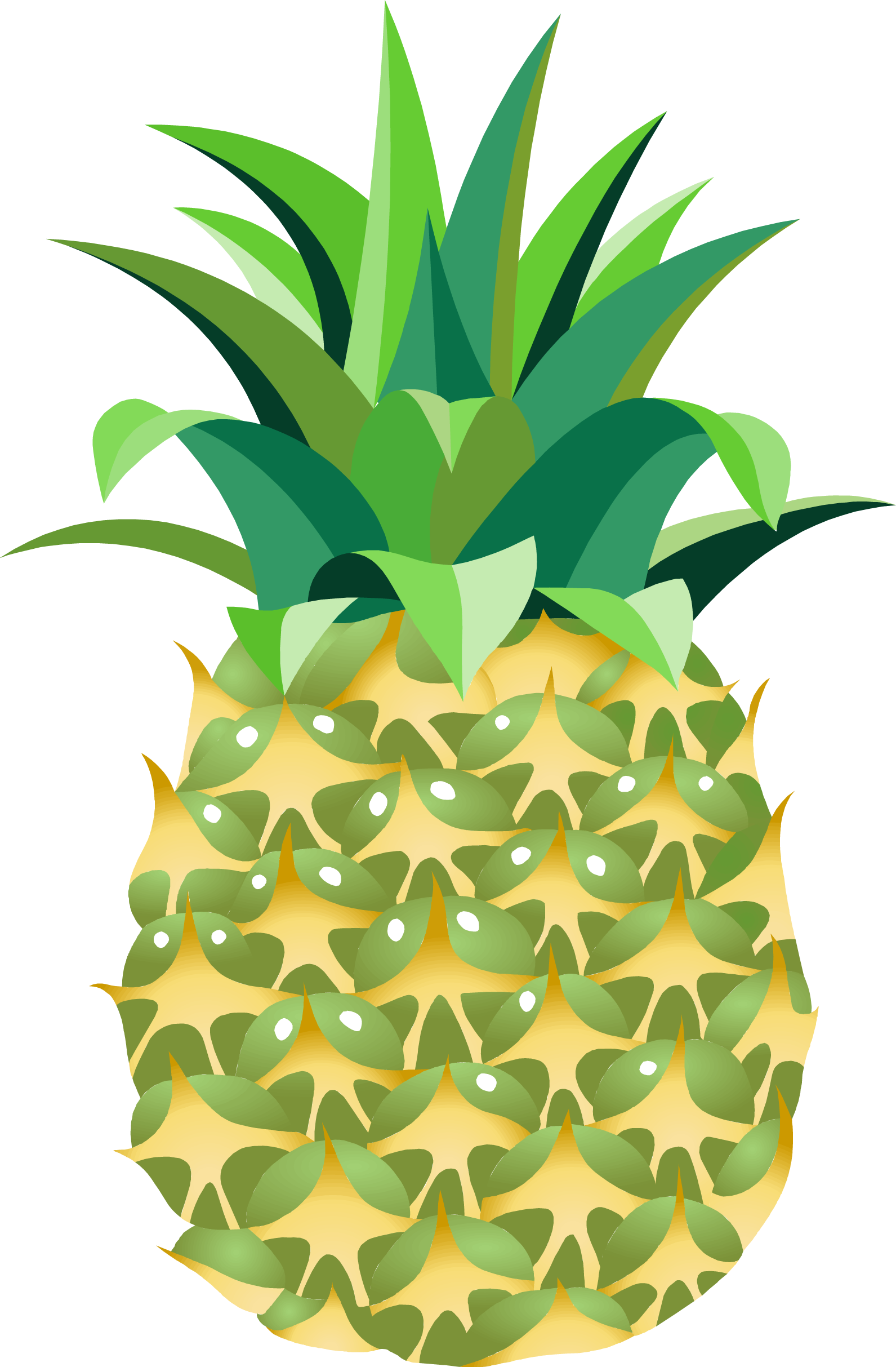 Pineapple Png Image, Free Download - Clipart Of Pineapple Png (1591x2426)