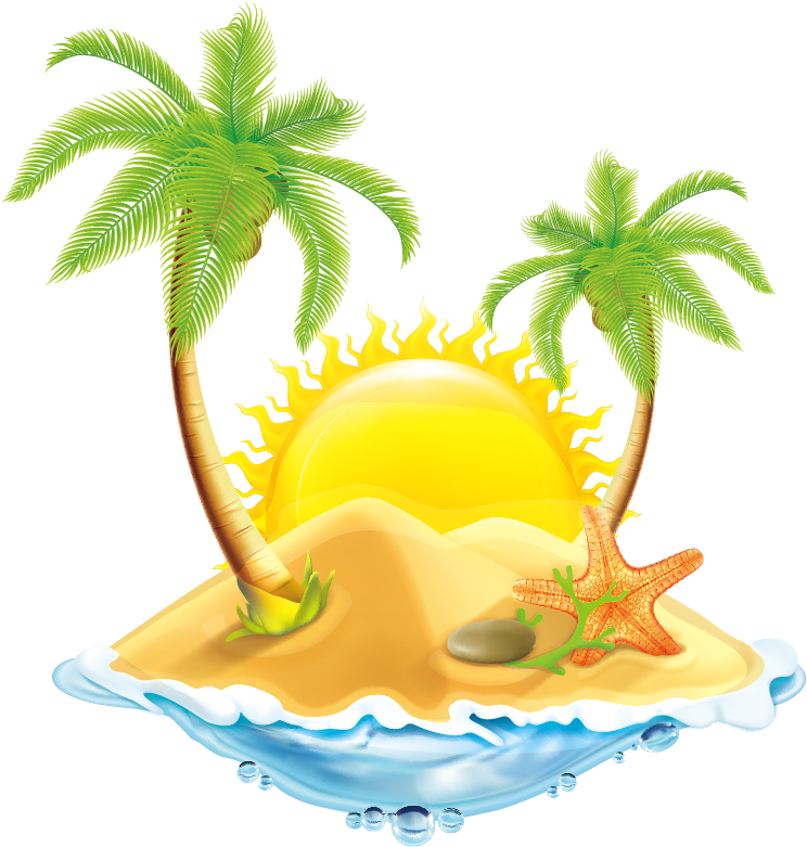 Coconut Clipart Pineapple Tree - Sea Island Vector (1181x1181)