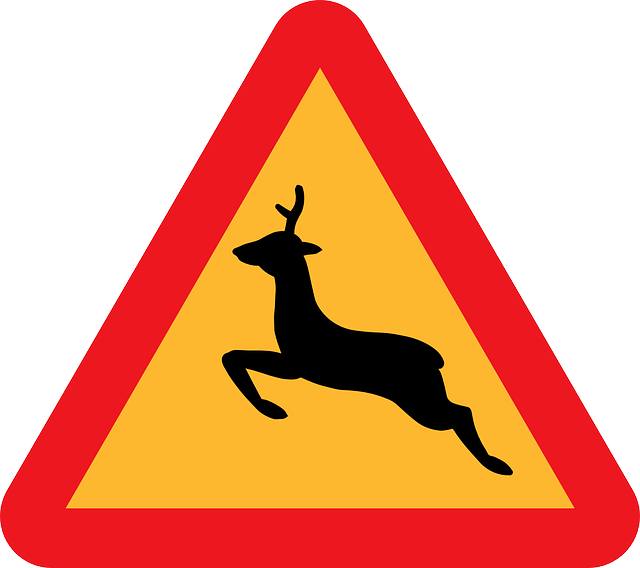 Street Sign, Deer, Signs, Transportation, Road, Street - Deer Road Sign (640x568)