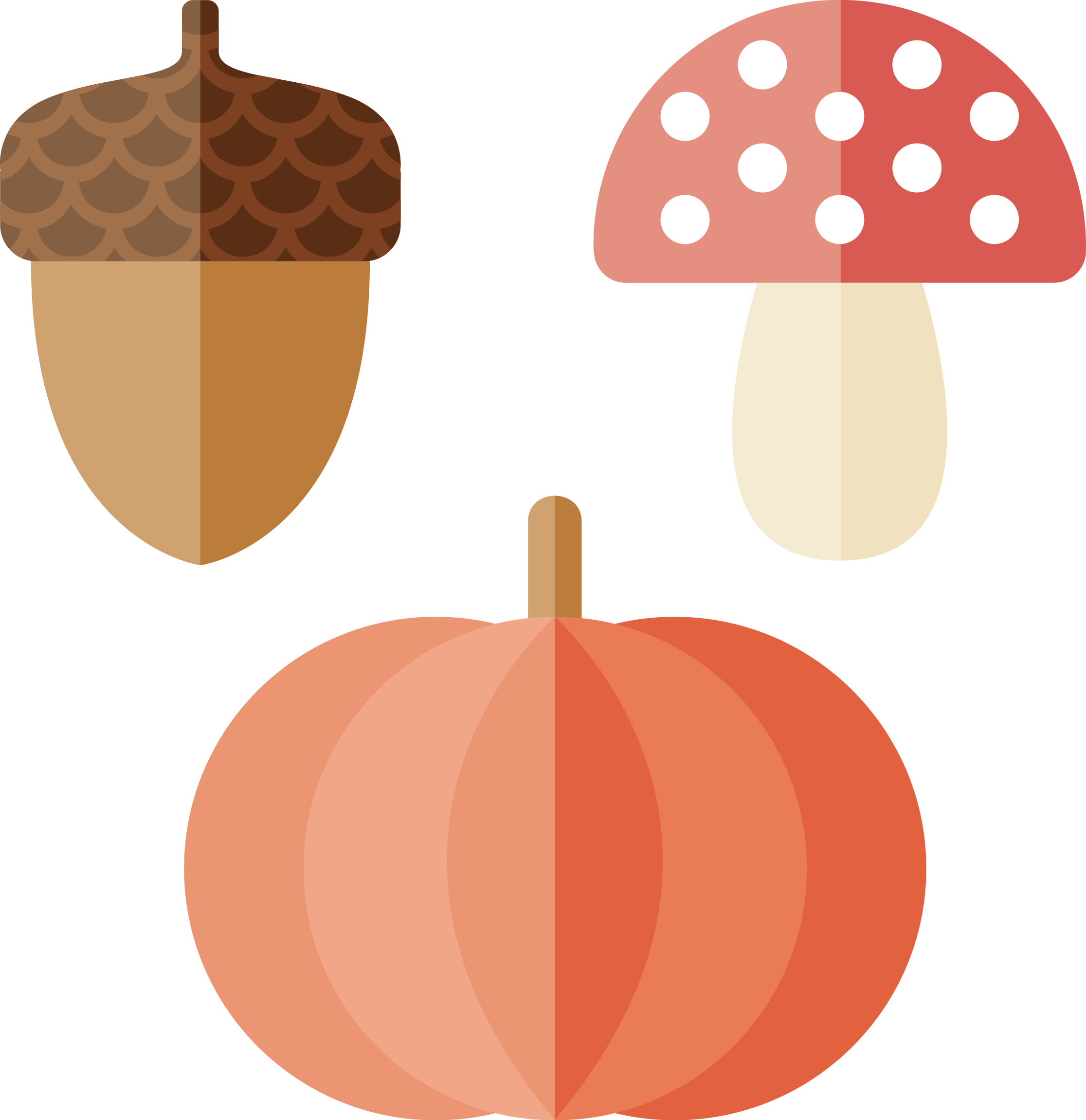 Nut Euclidean Vector - Nut Euclidean Vector (2232x2301)