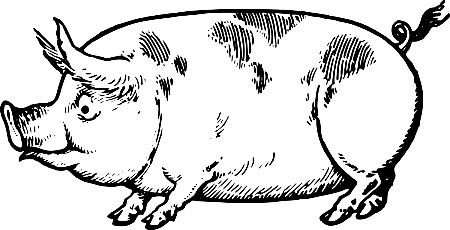 That Can Be Used In Adobe Illustrator, Inkscape Or - Pigs Sideways (1500x766)