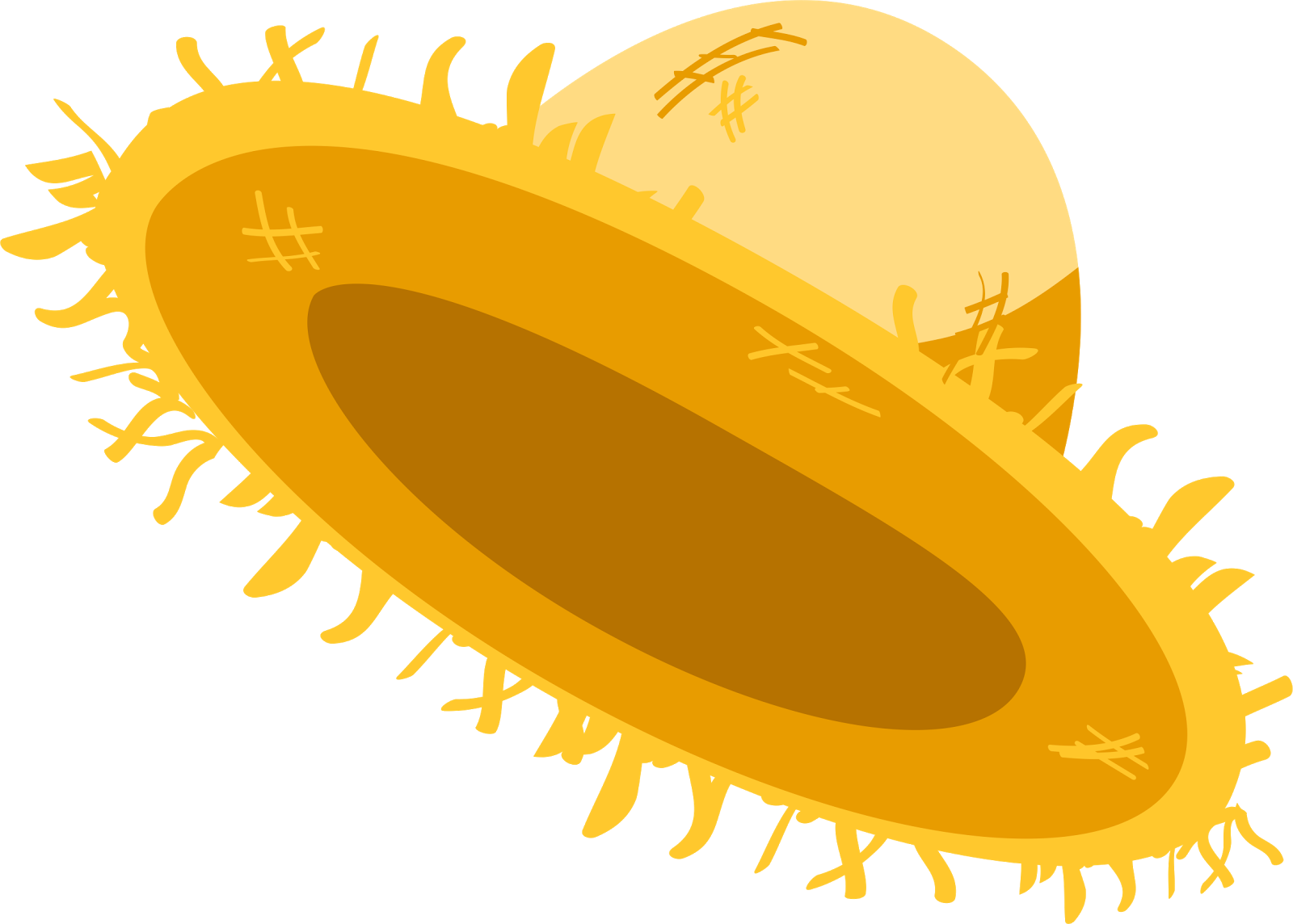 Chapeu Png, Milho Png, Pipoca Png, Viola Png Bandeirinhas - Chapeu Festa Junina Png (1600x1144)