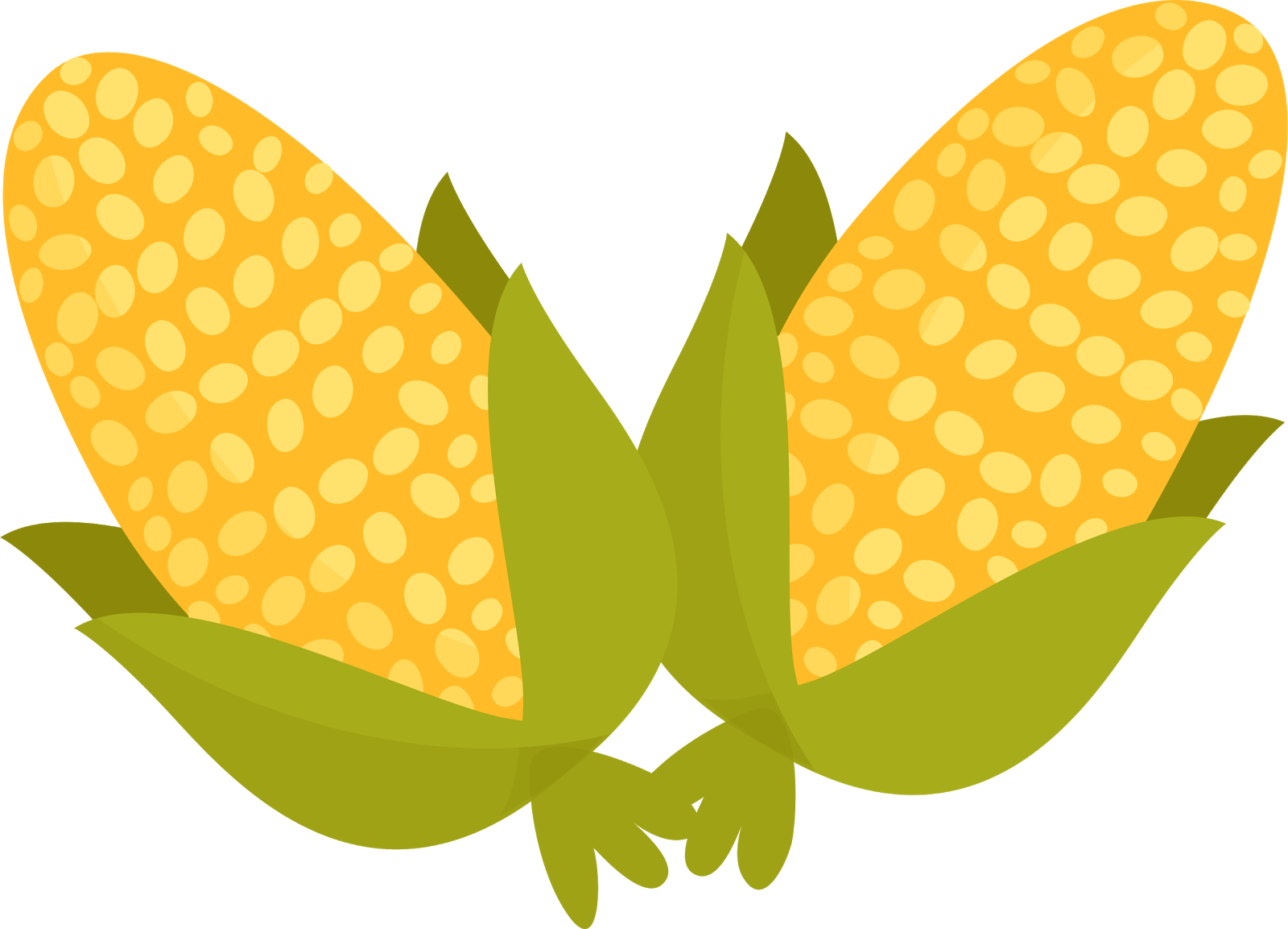 Chapeu Png, Milho Png, Pipoca Png, Viola Png Bandeirinhas - Milho Png (1600x1153)