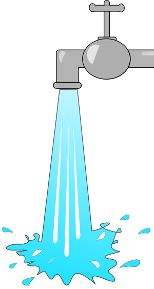 Bracknell Lions Gambia Appeal - Bracknell Lions Gambia Appeal (300x563)