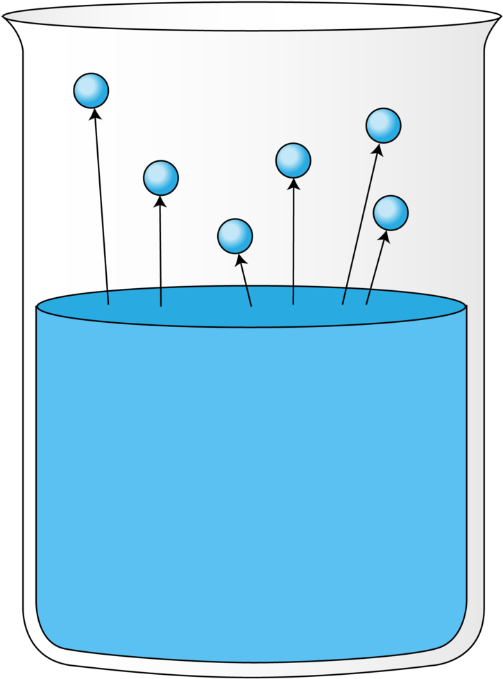 Cup Clipart Evaporation Water - Tečnosti Fizika (800x1035)