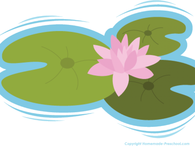 Lily Pad Clipart - Clip Art Lily Pad (640x480)