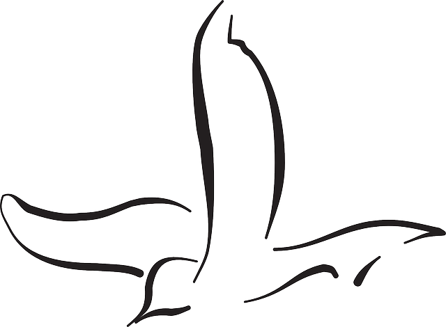Bird Outline - Flying Bird Drawing Png (640x470)