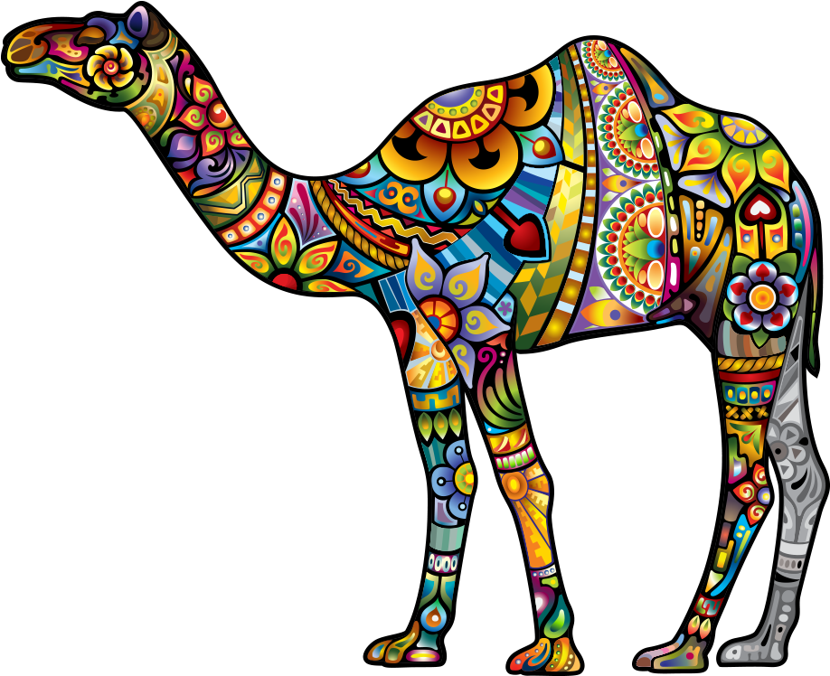 Dromedary Tattoo Illustration - Camel Vectors (1000x1000)