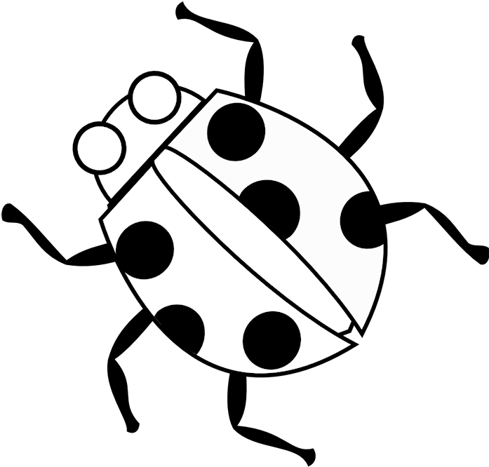 Ladybug Coloring Pages Printable - Coloring Book (708x708)