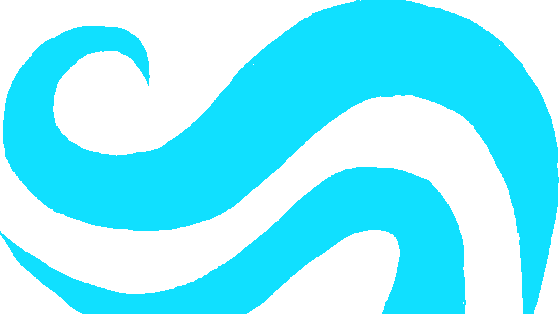 A Strange Mix Of Ladybugs And Black Cats - Black (559x314)