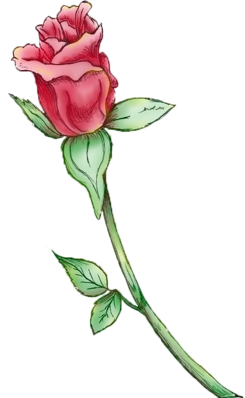 Painted Rose Bud Painted Rose Bud - Rose (600x780)