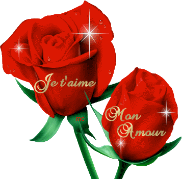 La Rose Rouge La Rose De L'amour Enfin Se Con Dit Oué - Garden Roses (357x351)