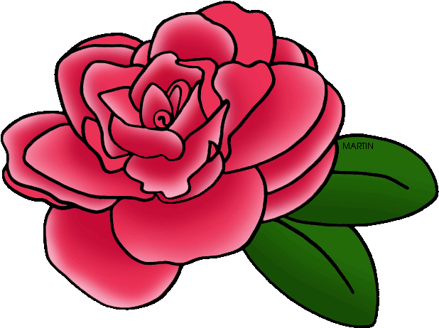 Camellia - Japanese Camellia (648x497)