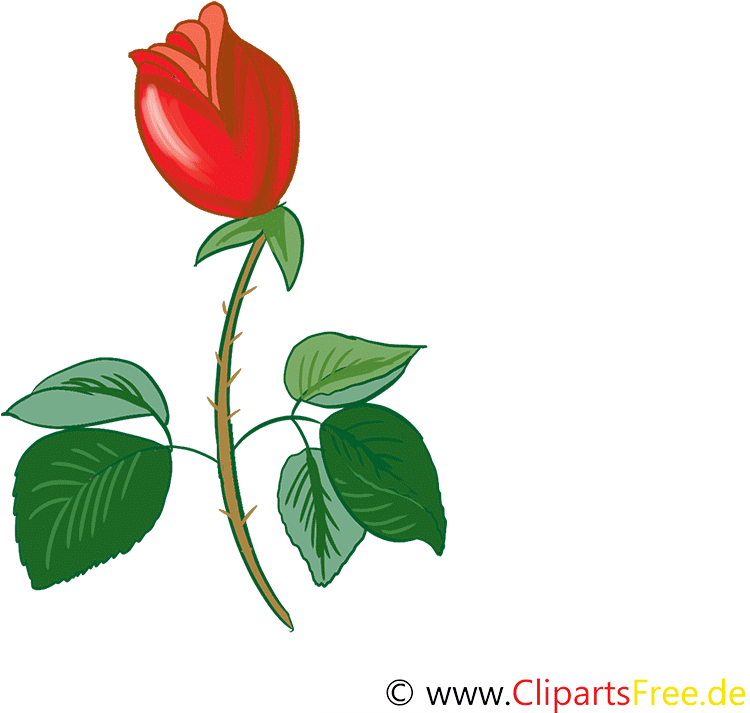 Gif Blume (1000x1100)