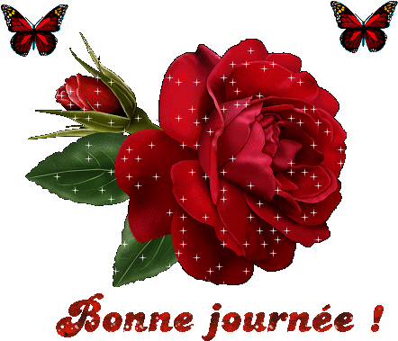 Welcome Rose - (466x395) Png Clipart Download