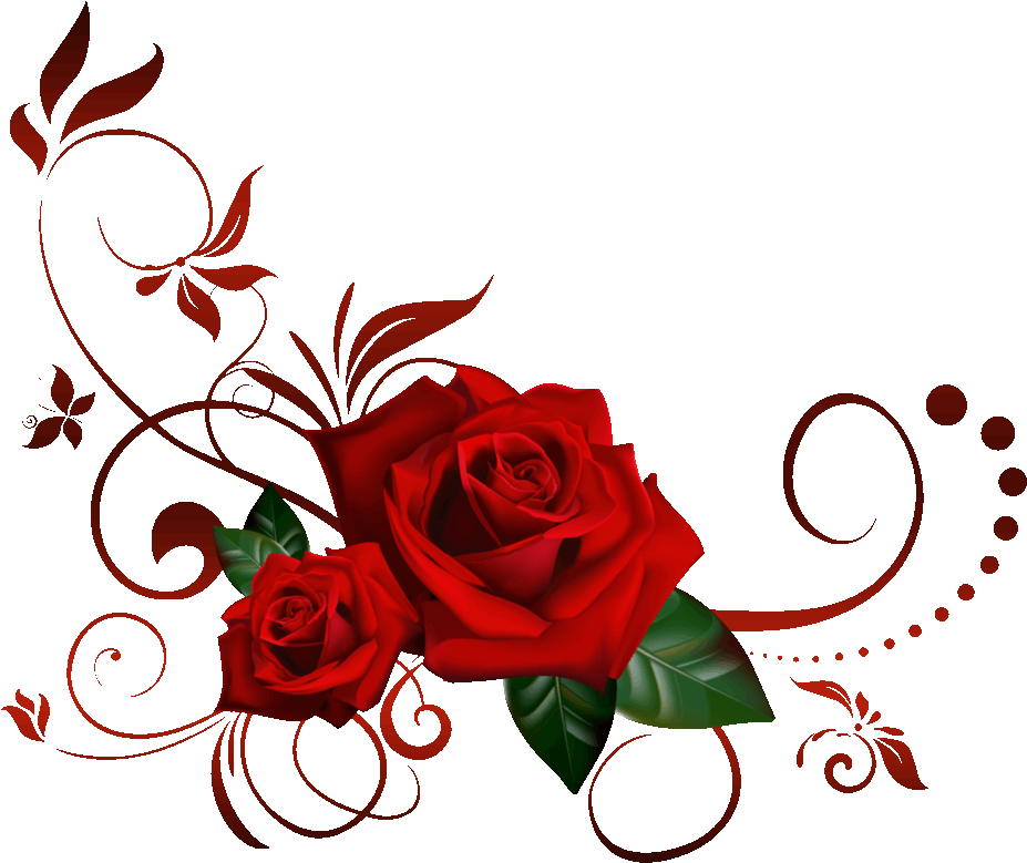 Ut0vyr8i97i - Transparent Background Red Rose Png (970x824)