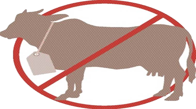Famine Clipart Sick Cow - Cow Slaughter Indian Express (759x422)