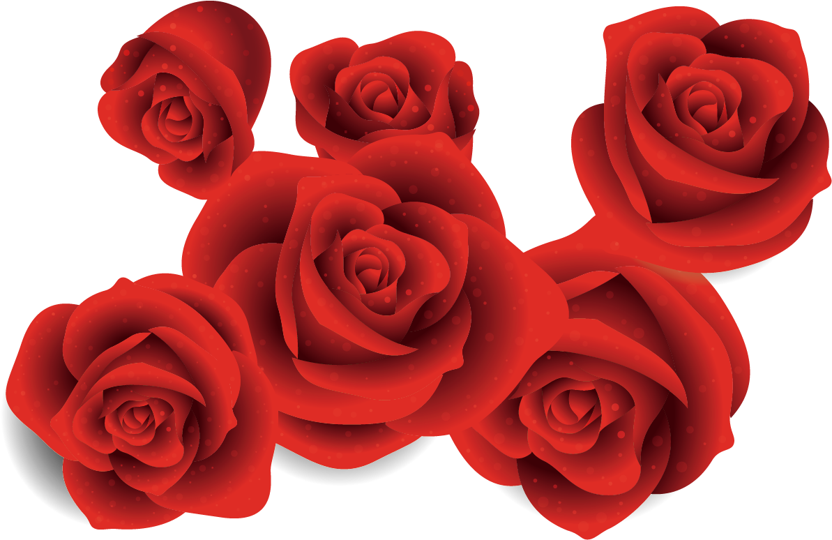 Garden Roses Beach Rose Euclidean Vector - Rose (1282x823)