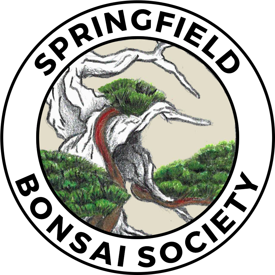Springfield Bonsai Society - City Of Wasilla Seal (940x950)
