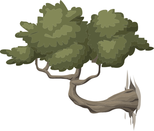 Bonsai - Squirrels Samsung Galaxy S8 Case (500x426)