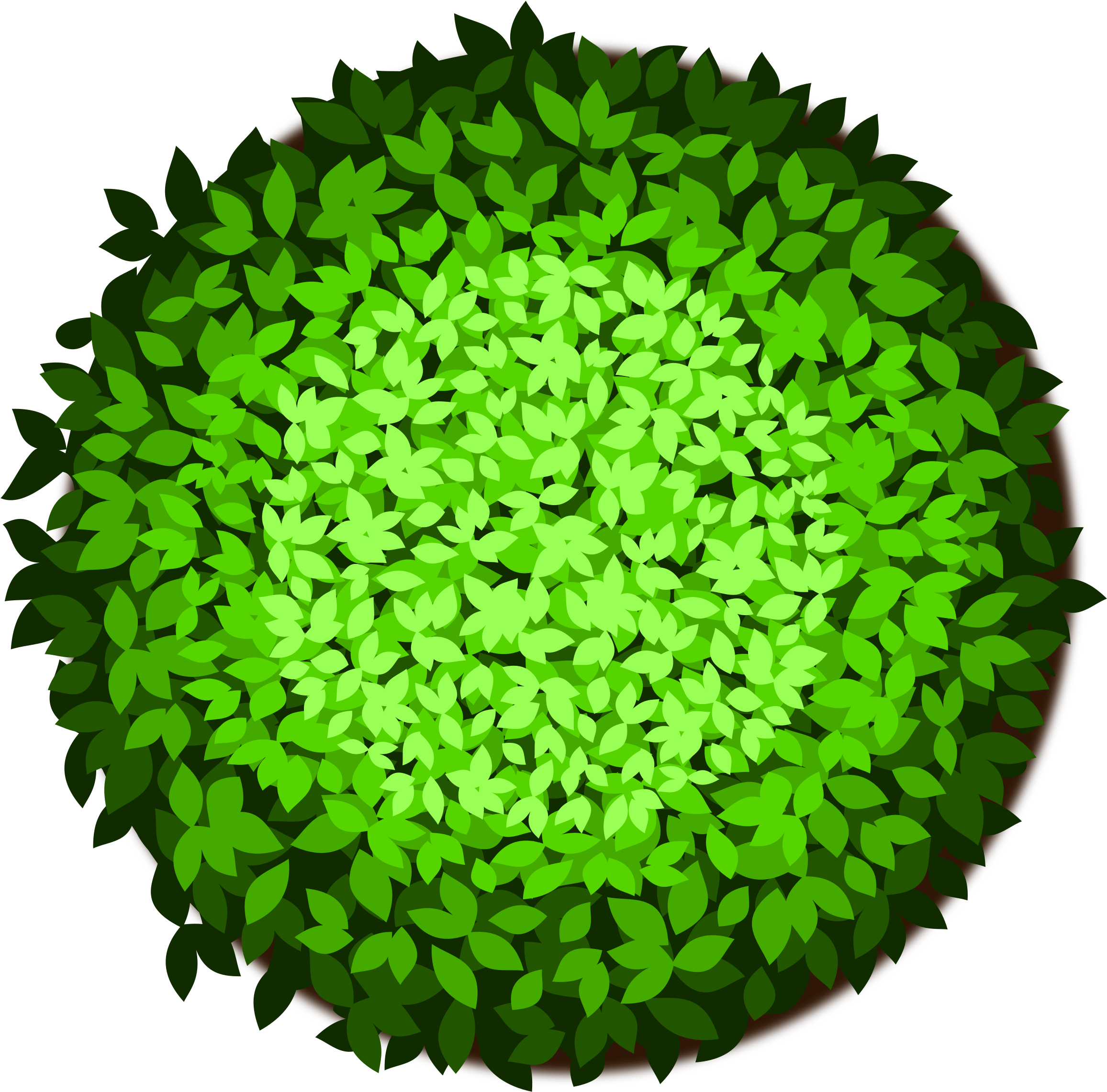 Tree Bonsai Computer Icons Clip Art - Trees Top View Clipart (2400x2400)