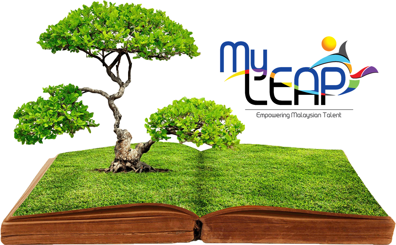 About Myleap - C (1500x870)