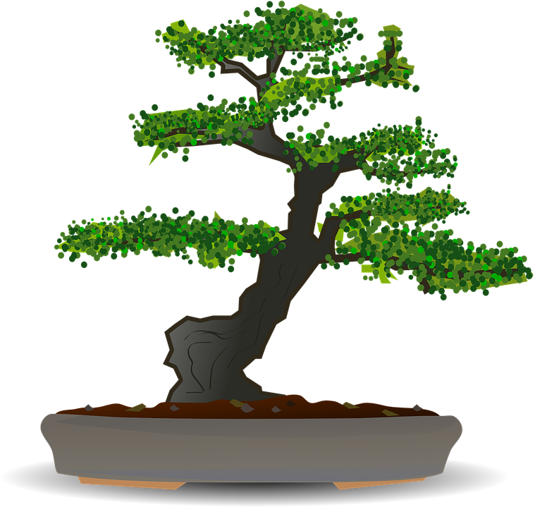 Bonsai Tree Clipart 10, Buy Clip Art - Bonsai Png (798x720)