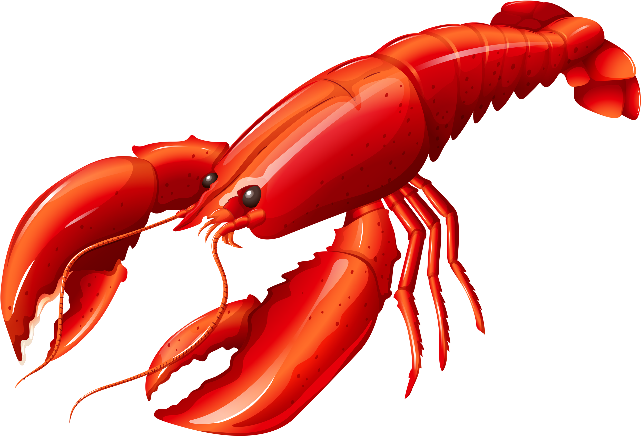 Cut Open Lobster, Product In Kind, Two Halves Png Image - Lobster Clipart (2560x1793)