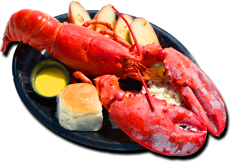 C Lobster 2 Clip Art At Clker Vector - Lobster Festival Redondo Beach (900x550)