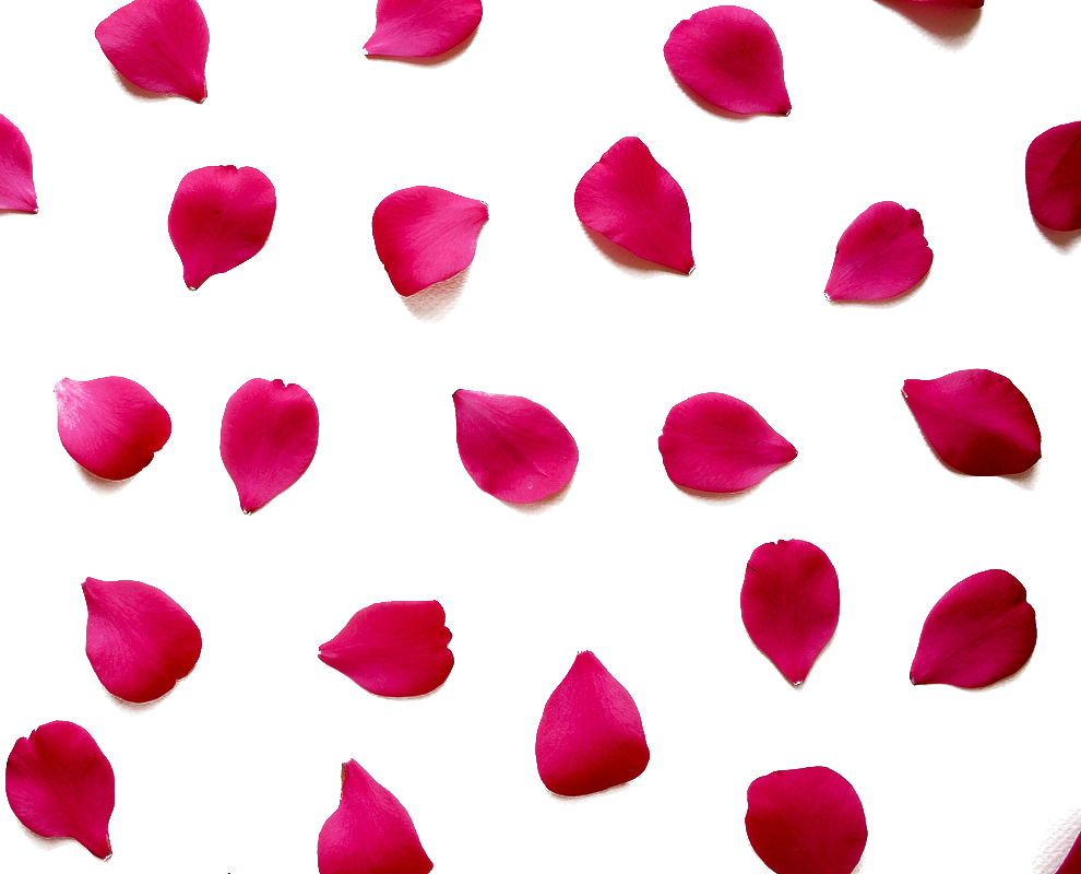 Love Quotation Valentines Day Romance Happiness - True Love Quotes For Her (990x800)