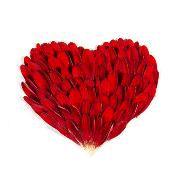 Receive A Super Fresh Petalogical News And Special - Wedding (600x616)