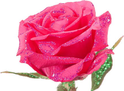 Gif Shortener - Rose (480x342)