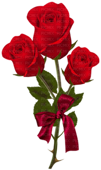 Rose Rouge-red Flower - Floribunda (360x400)