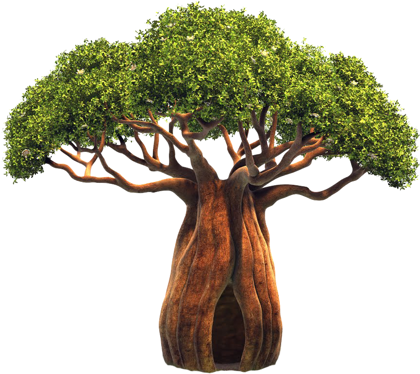 Baobab 03 By Coolzero2a Baobab 03 By Coolzero2a - Benefits Of Baobab Powder (1024x819)