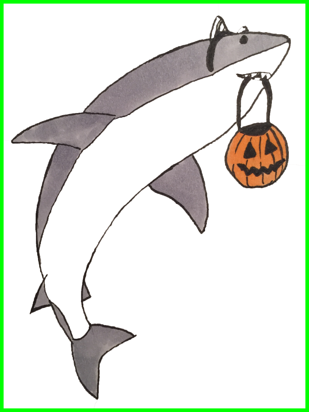 The Best Re Shark Cat Tumblr Picture Of Fish Png Transparent - The Best Re Shark Cat Tumblr Picture Of Fish Png Transparent (1310x1744)