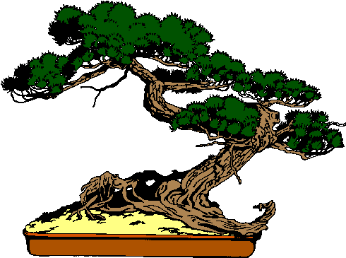 Bitácora De Un Bonsái De Olivo - Bonsai Tree Clip Art (587x435)