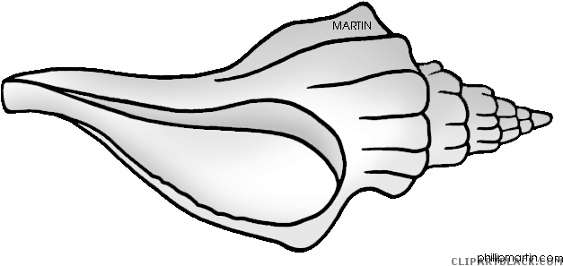 Seashell Animal Free Black White Clipart Images Clipartblack - Clip Art (648x330)